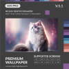 Cat 07 Background